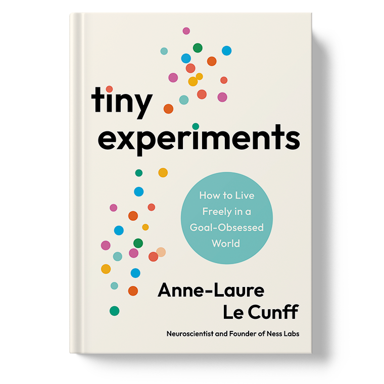 Tiny Experiments — the book